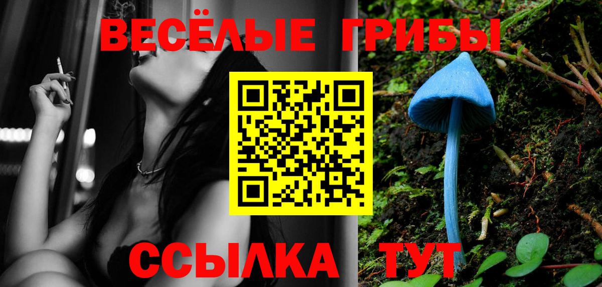 Галлюциногенные грибы мицелий  Вход с VPN  Ульяновск 