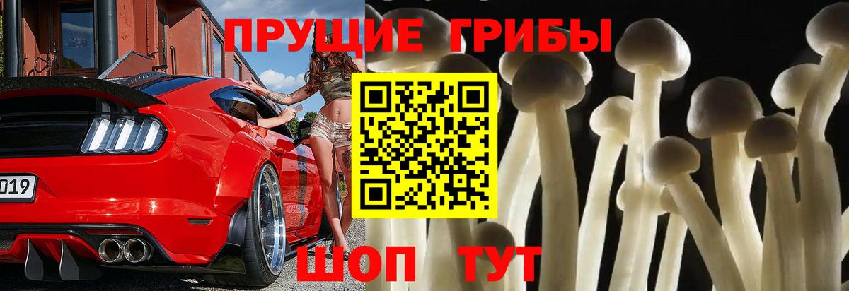 Псилоцибиновые грибы GOLDEN TEACHER Ульяновск